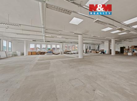 Pronájem obchodní prostor, 666 m²