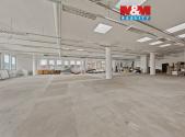 Pronájem obchodní prostor, 666 m²
