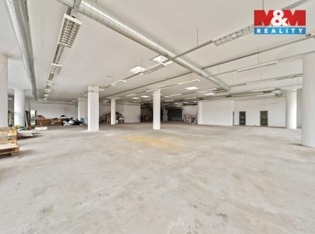 Pronájem obchodní prostor, 666 m²