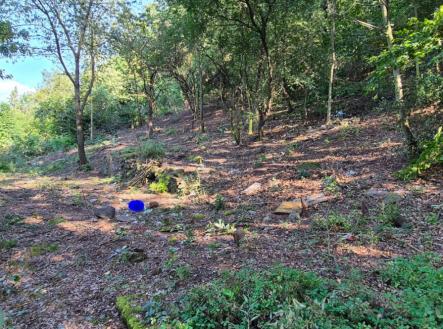 Prodej pozemku pro bydlení, 1 101 m²