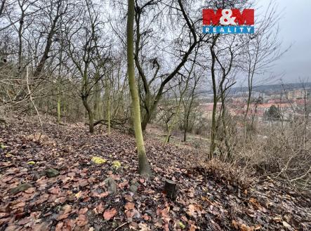 Prodej pozemku pro bydlení, 1 101 m²