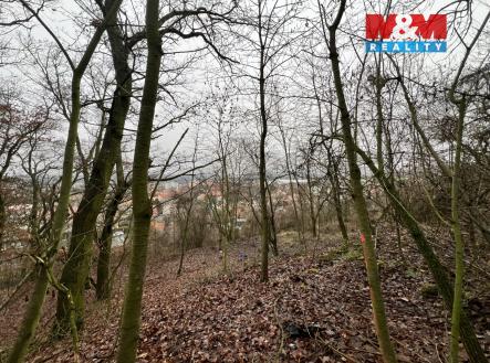 Prodej pozemku pro bydlení, 1 101 m²