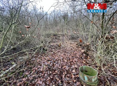 Prodej pozemku pro bydlení, 1 101 m²