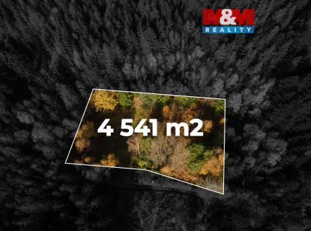 Prodej pozemku, trvalý travní porost, 4 541 m²