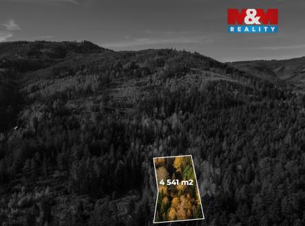 Prodej pozemku, trvalý travní porost, 4 541 m²