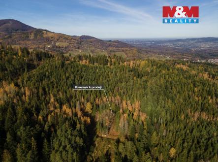 Prodej pozemku, trvalý travní porost, 4 541 m²