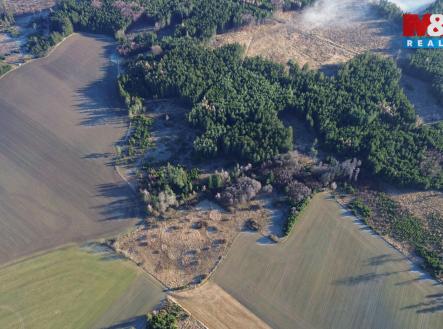 Prodej pozemku, les, 34 642 m²