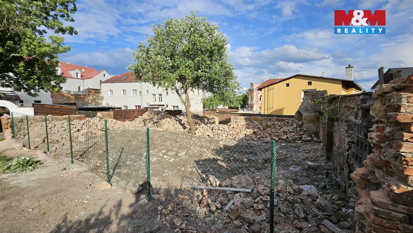 20240611_181850 (Large).jpg