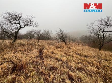 Prodej pozemku, zahrada, 2 207 m²