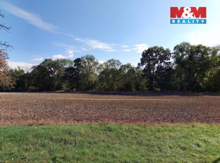 Prodej pozemku, zemědělská půda, 19 072 m²