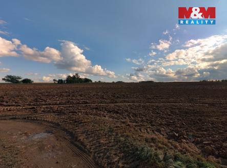 Prodej pozemku, zemědělská půda, 11 369 m²