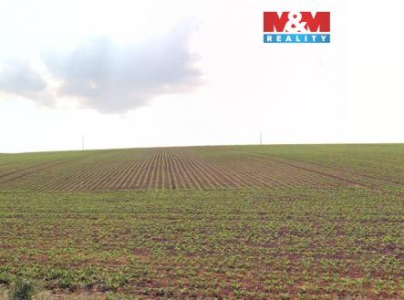 Prodej pozemku, zemědělská půda, 2 579 m²