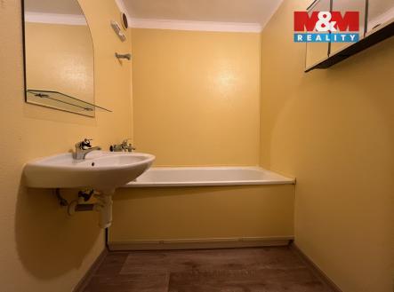 Pronájem bytu, 1+1, 46 m²