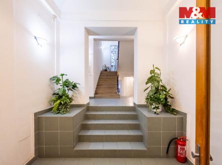 Pronájem kanceláře, 19 m²