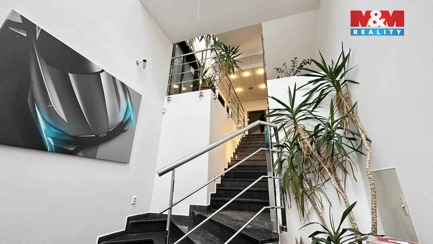 Reprezentativní vstup