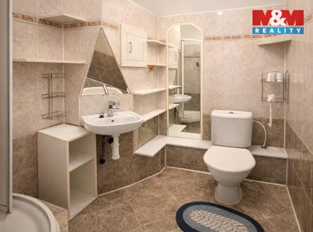 Pronájem bytu, 1+kk, 25 m²