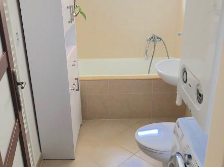 Pronájem bytu, 2+1, 53 m²