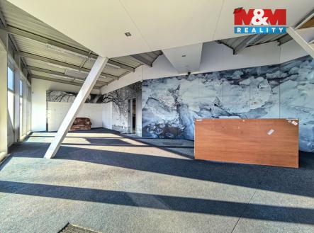 Pronájem obchodní prostor, 117 m²
