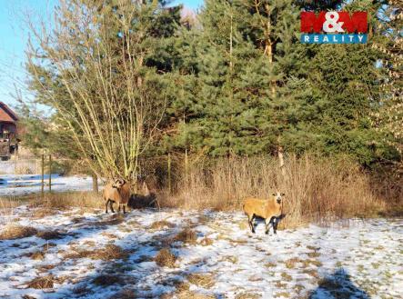 Prodej pozemku, zahrada, 1 052 m²