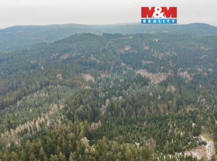 Prodej pozemku, les, 6 294 m²