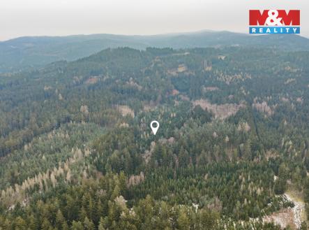 Prodej pozemku, les, 6 294 m²