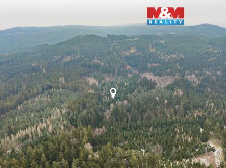 Prodej pozemku, les, 6 294 m²