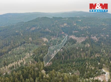 Prodej pozemku, les, 6 294 m²