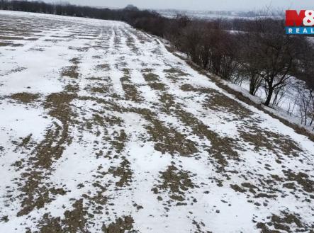 Prodej pozemku, zemědělská půda, 10 322 m²