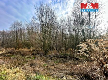 Prodej pozemku pro bydlení, 4 322 m²