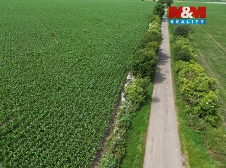 Prodej pozemku, zemědělská půda, 8 491 m²