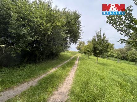 Prodej pozemku, zemědělská půda, 10 932 m²