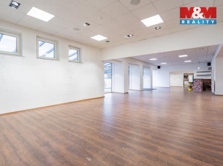 Prodej obchodní prostor, 500 m²