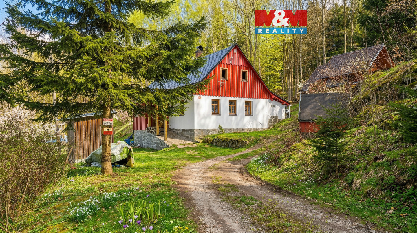 Vizualizace v létě