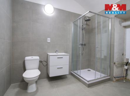 Pronájem obchodní prostor, 465 m²