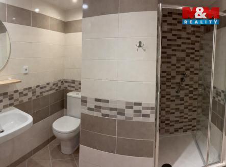 Pronájem bytu, 1+1, 43 m²