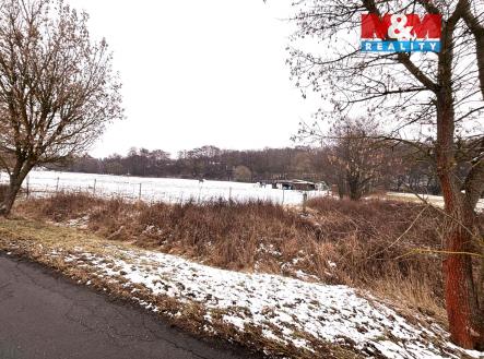 Prodej pozemku, trvalý travní porost, 7 998 m²