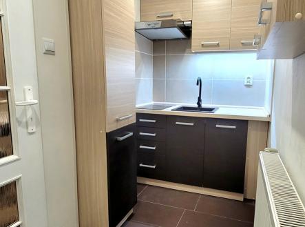 Pronájem bytu, 1+1, 28 m²