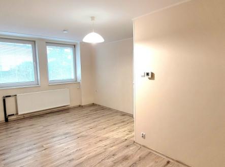 Pronájem bytu, 1+1, 28 m²