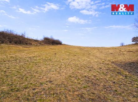 Prodej pozemku, trvalý travní porost, 2 480 m²