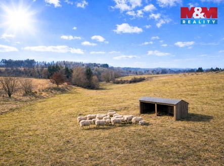 Prodej pozemku, trvalý travní porost, 2 480 m²
