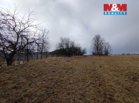 Prodej pozemku, trvalý travní porost, 6 470 m²