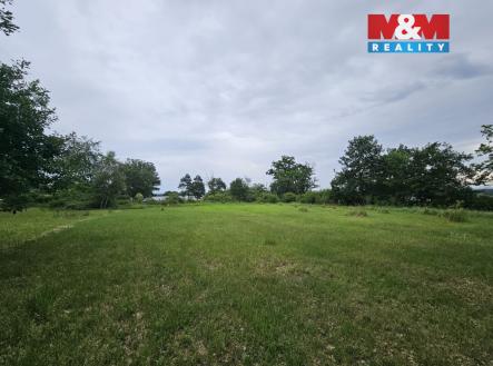 Prodej pozemku, les, 7 985 m²