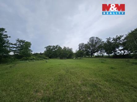 Prodej pozemku, les, 7 985 m²