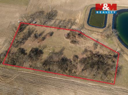 Prodej pozemku, les, 7 985 m²