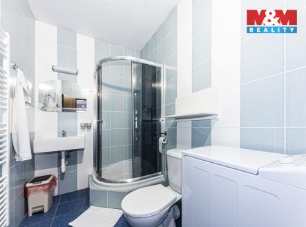 Pronájem bytu, 1+kk, 21 m²