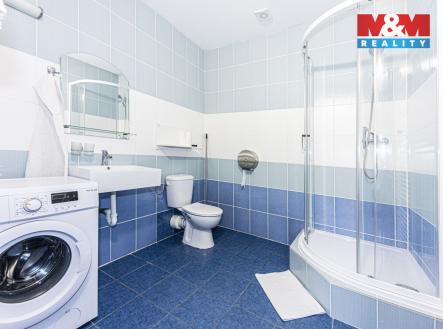 Pronájem bytu, 1+kk, 26 m²