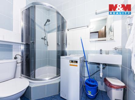 Pronájem bytu, 1+kk, 24 m²