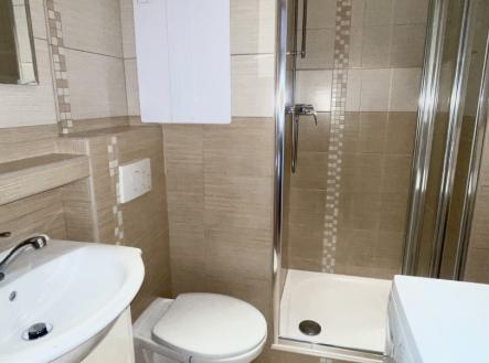 Pronájem bytu, 1+1, 35 m²