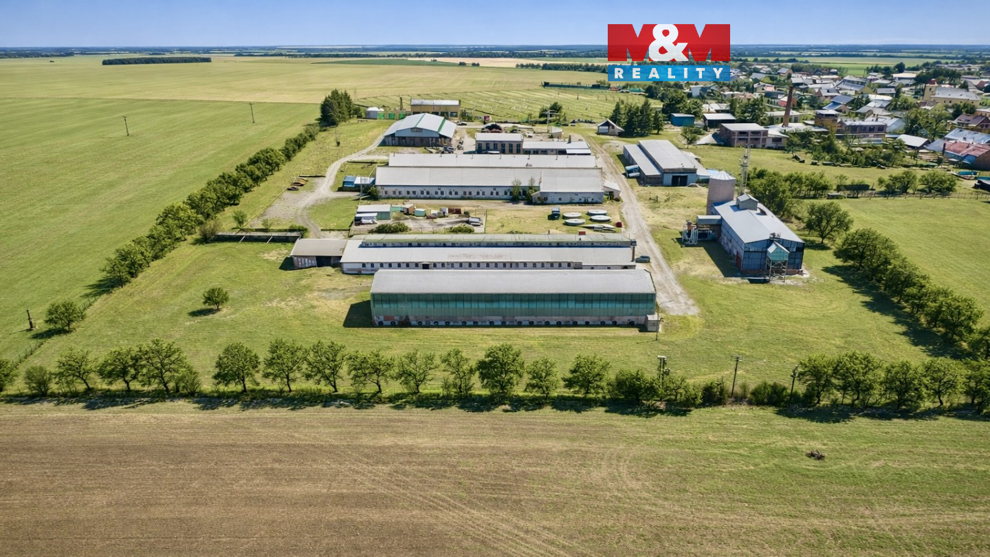 ChatGPT Image 14. 2. 2026 18_09_35.jpeg