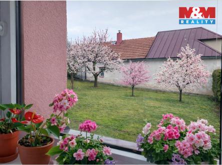 Prodej domu/vily, 76 m²